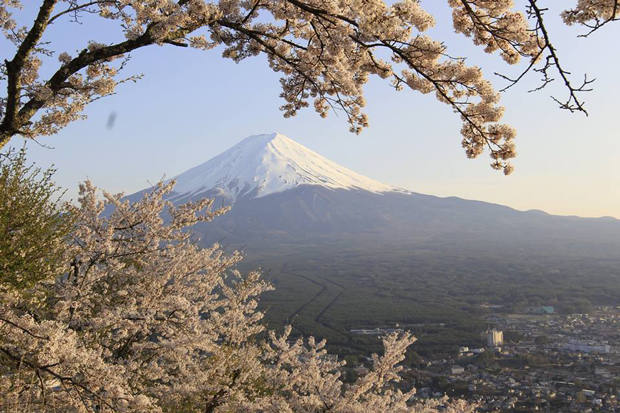 Mt. Fuji (fot. Maciej Sokołowski)