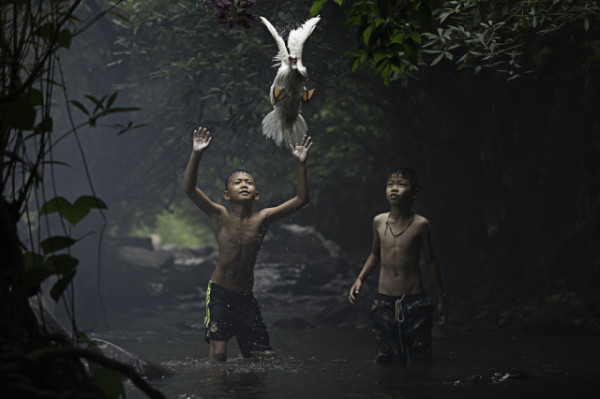 Sarah Wouters / National Geographic Traveler Photo Contest, Catching a Duck