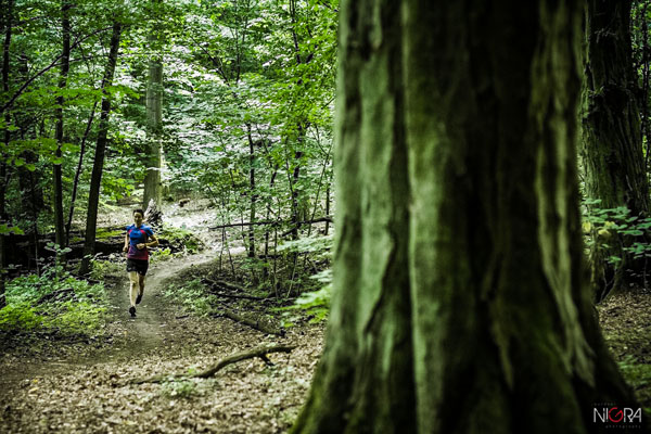 Forest Run w Wielkopolskim Parku Narodowym (fot. G. Lisowski)