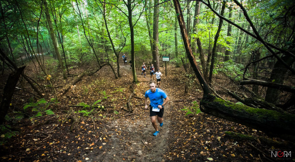 Forest Run (fot. G. Lisowski)
