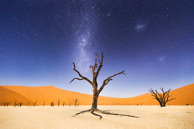 Beth McCarley / National Geographic Traveler Photo Contest, A Night at Deadvlei