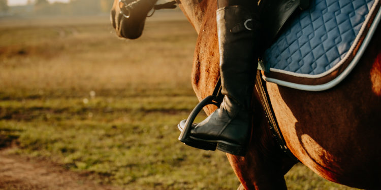 Pierwsze zajęcia to zawsze czas aklimatyzacji i przekonania się, czy jeździectwo jest rzeczywiście dyscypliną dla Ciebie (fot. materiały partnera / Adobe Stock)