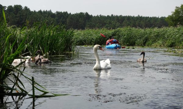 Spływ Korytnicą